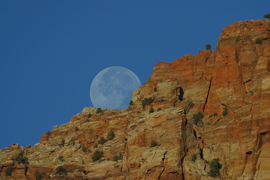 The Gracious Moon is Rising